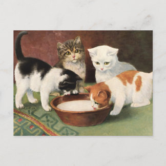 Vintage Katzen und Milch Briefkaart