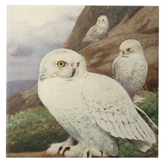 Vintage keramische tegels voor uil tegeltje (Voorkant)