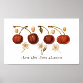 Vintage kersen Koolvruchtenkern Antiek Poster (Voorkant)