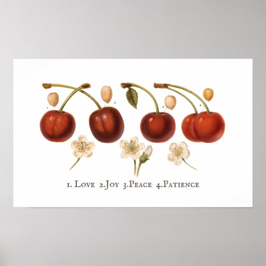 Vintage kersen Koolvruchtenkern Antiek Poster (Voorkant)