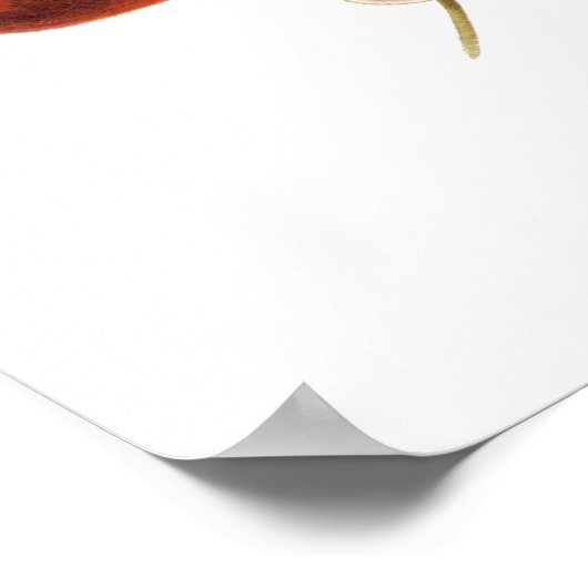 Vintage kersen Koolvruchtenkern Antiek Poster (Hoek)