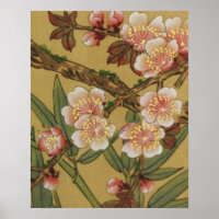 Vintage Kersenbloesem Aziatische Japanse Bloemen