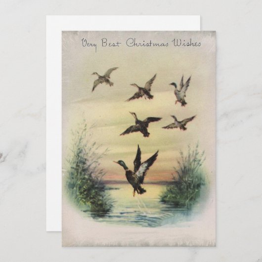 Vintage Kerst Eenden In Vijver Feestdagenkaart (Voorkant / Achterkant)