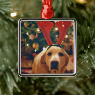 Vintage Kerst Geel Lab Hond Metalen Ornament