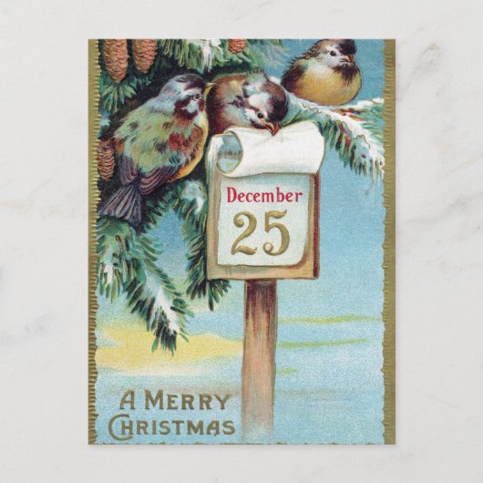 Vintage Kerst Vakantie vogels briefkaart (Voorkant)
