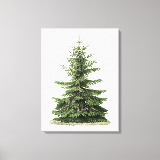 Vintage kerstboom canvas afdruk (Voorkant)