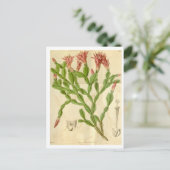 Vintage kerstcactus Briefkaart reizen (Staand voorkant)