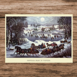 Vintage kersthoezen, centraal park in de winter poster