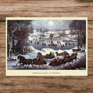 Vintage kersthoezen, centraal park in de winter poster