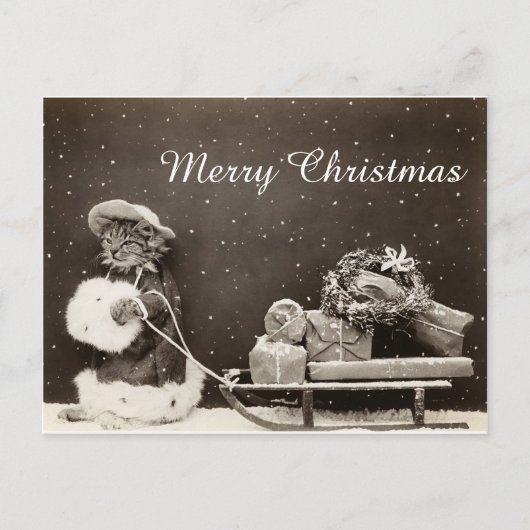 Vintage kerstkat met lepel en lepel feestdagenkaart (Voorkant)