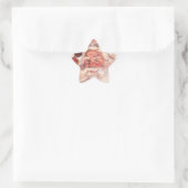 Vintage kerstkerstkerstkerstman ster sticker (Tas)