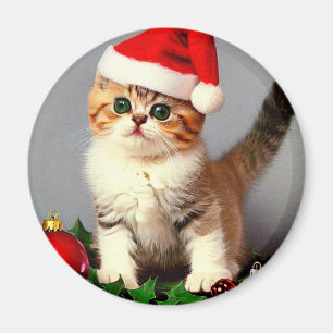 Vintage Kerstkitten in Santa Hat Magneet