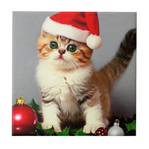 Vintage Kerstkitten in Santa Hat Tegeltje