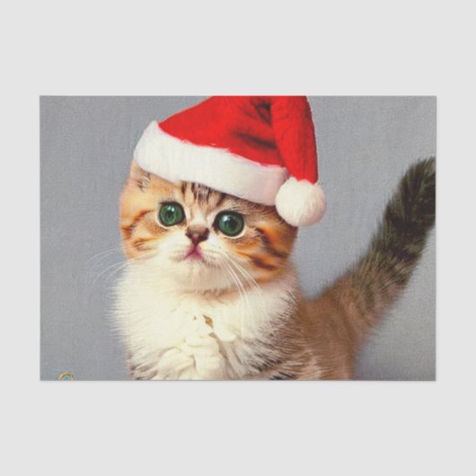 Vintage Kerstkitten in Santa Hat Tissuepapier (Voorkant)