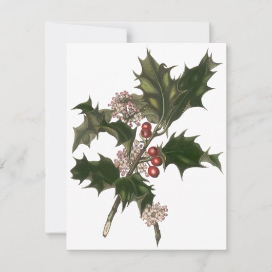 Vintage Kerstmis, Holly Plant Berries Uitnodiging (Voorkant)
