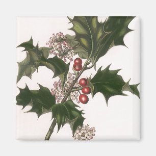 Vintage Kerstmis, Holly Plant met rode bessen Magneet