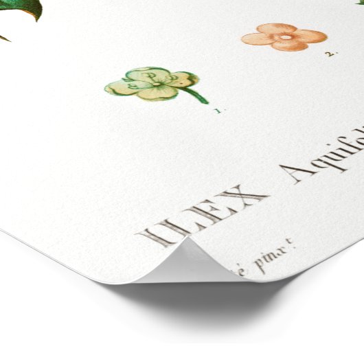 Vintage Kerstmis Mistletoe Poster (Hoek)