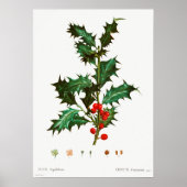 Vintage Kerstmis Mistletoe Poster (Voorkant)