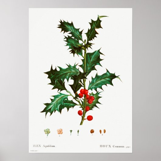 Vintage Kerstmis Mistletoe Poster (Voorkant)