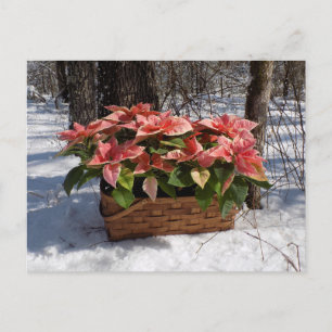 Vintage Kerstmis Poinsettias Briefkaart