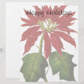 Vintage Kerstmis, Red Poinsettia Winter Plant (Voorkant / Achterkant)