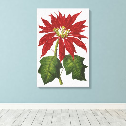 Vintage Kerstmis, Red Poinsettia Winter Plant Canvas Afdruk (Insitu (Houten vloer))