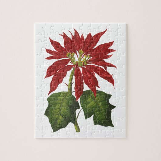 Vintage Kerstmis, Red Poinsettia Winter Plant Legpuzzel (Verticaal)