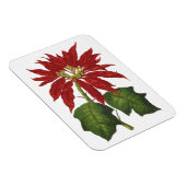 Vintage Kerstmis, Red Poinsettia Winter Plant Magneet (Rechterzijde)