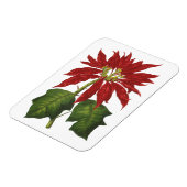 Vintage Kerstmis, Red Poinsettia Winter Plant Magneet (Linkerzijde)
