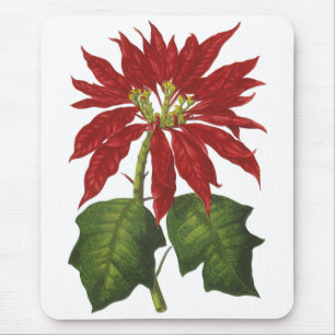 Vintage Kerstmis, Red Poinsettia Winter Plant Muismat
