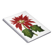Vintage Kerstmis, Red Poinsettia Winter Plant Notitieboek (Rechterzijde)