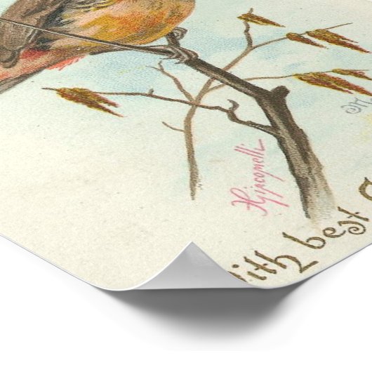 Vintage kerstvogel poster (Hoek)