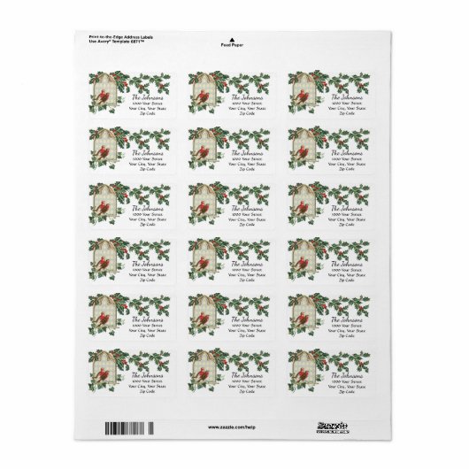 Vintage kerstvogels Adres label (Full Sheet)