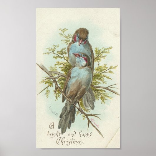 Vintage kerstvogels poster (Voorkant)
