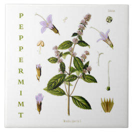 Vintage Keuken: Pepermunt mint plant bloemen Tegeltje