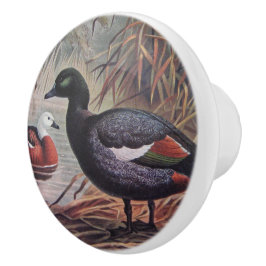 Vintage Keulemans John Gerrard Paradise Shelduck Keramische Knop