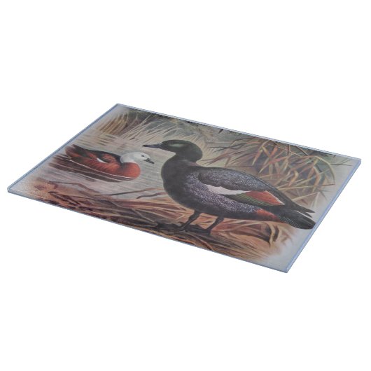 Vintage Keulemans John Gerrard Paradise Shelduck Snijplank (Hoek)