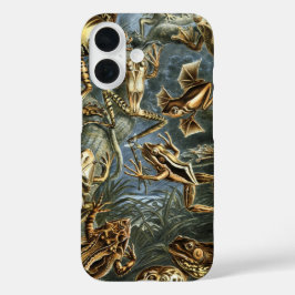 Vintage kikkers en padden Batrachia door Ernst Hae iPhone 16 Hoesje