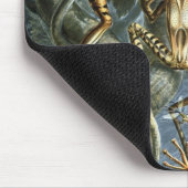 Vintage Kikkers en Padden Batrachia door Ernst Hae Muismat (Hoek)