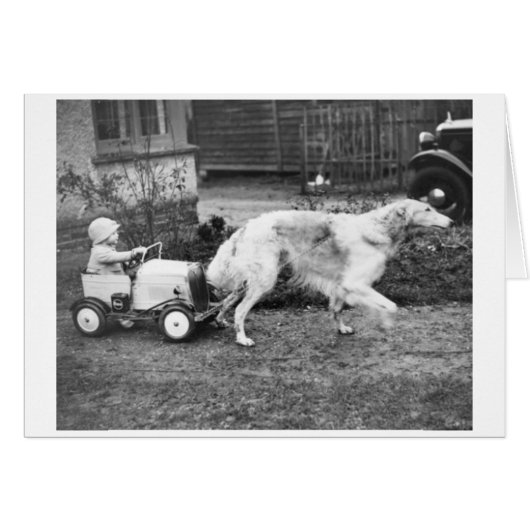 Vintage - Kinderwagen met een hond, (Voorkant Horizontaal)