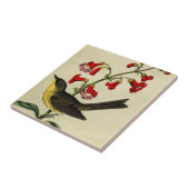 Vintage Kirtlands Warbler Bird Tegeltje (Zijkant)