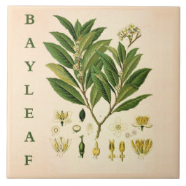 Vintage Kitchen Art: Bay Leaf Herb plant flowers Tegeltje