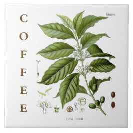 Vintage Kitchen Art: Coffee Plant & Flowers Tegeltje