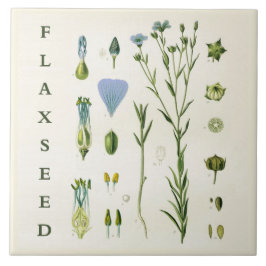Vintage Kitchen Art: Flaxseed Linseed Flax Plant Tegeltje