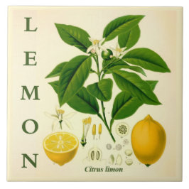 Vintage Kitchen Art: Lemon Citrus Tree flowers Tegeltje