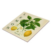 Vintage Kitchen Art: Lemon Citrus Tree flowers Tegeltje (Zijkant)