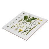 Vintage Kitchen Art: Mustard Herbs & Spices Plants Tegeltje (Zijkant)