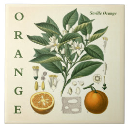 Vintage Kitchen Art: Orange Citrus Tree flowers Tegeltje