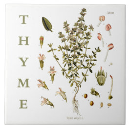 Vintage Kitchen Garden Thyme Herb plant flowers Tegeltje