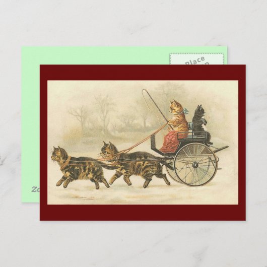 Vintage kitten coach briefkaart (Voorkant / Achterkant)